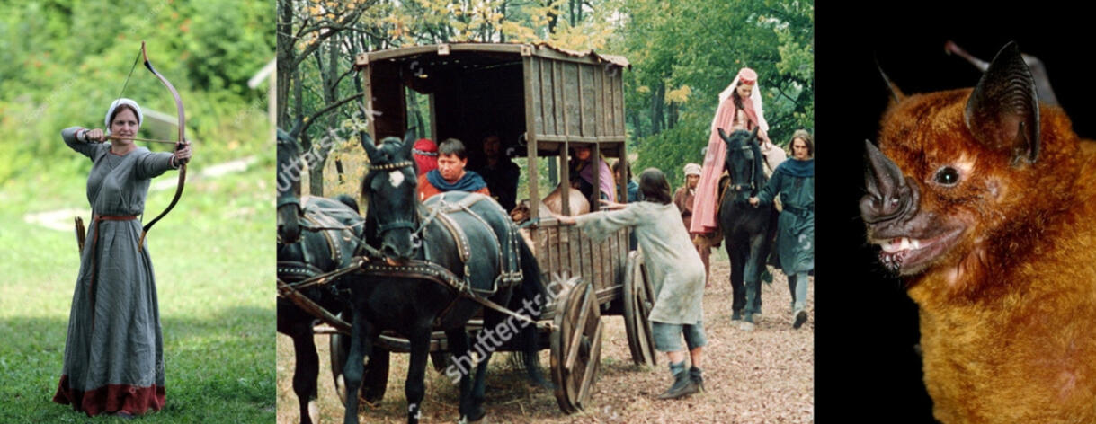 Pose, carriage (from the medieval murder mystery show "Cadfael") and bat reference images for the Magda piece.