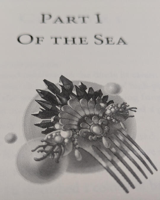 Final design as it appears in the book "Wicked Sea and Sky" by Jenna Collett.
