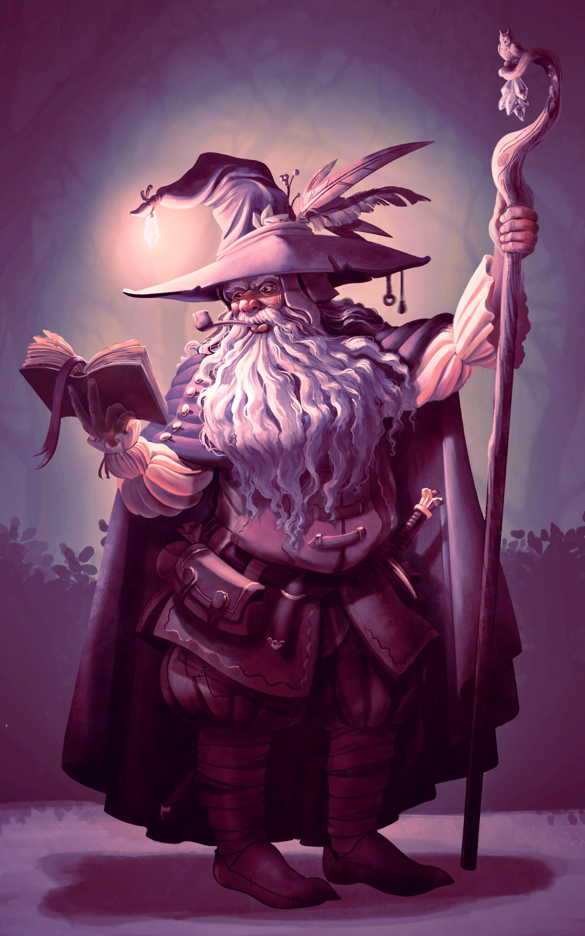 The Forest Wizard The Forest Wizard